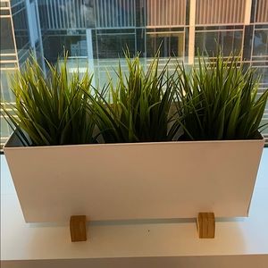 Modern plant holder